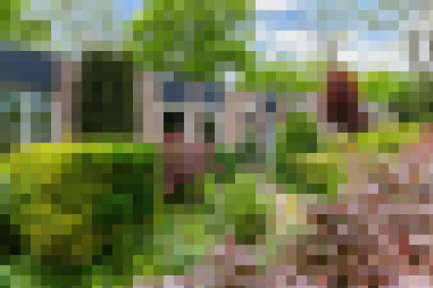 Vuurdoornstraat 35 Vaassen thumbnail 6