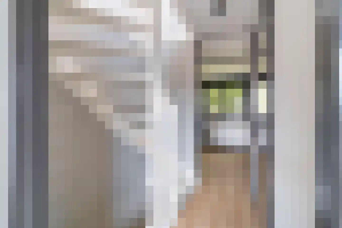 Vuurdoornstraat 39 Bleiswijk thumbnail 21