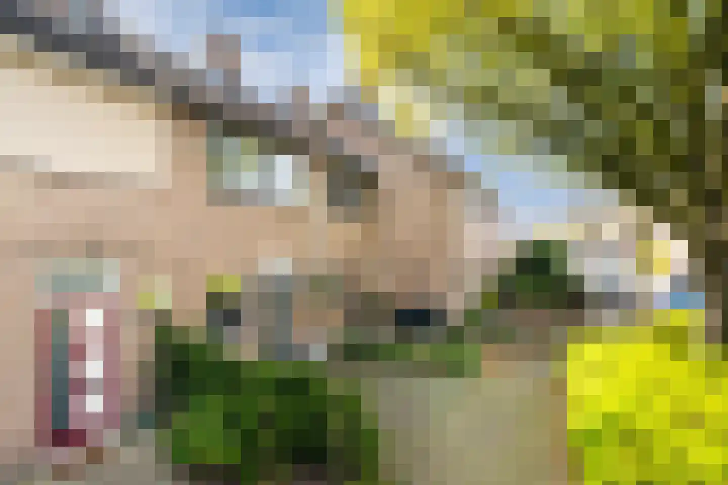 Vuurdoornstraat 39 Bleiswijk thumbnail 37