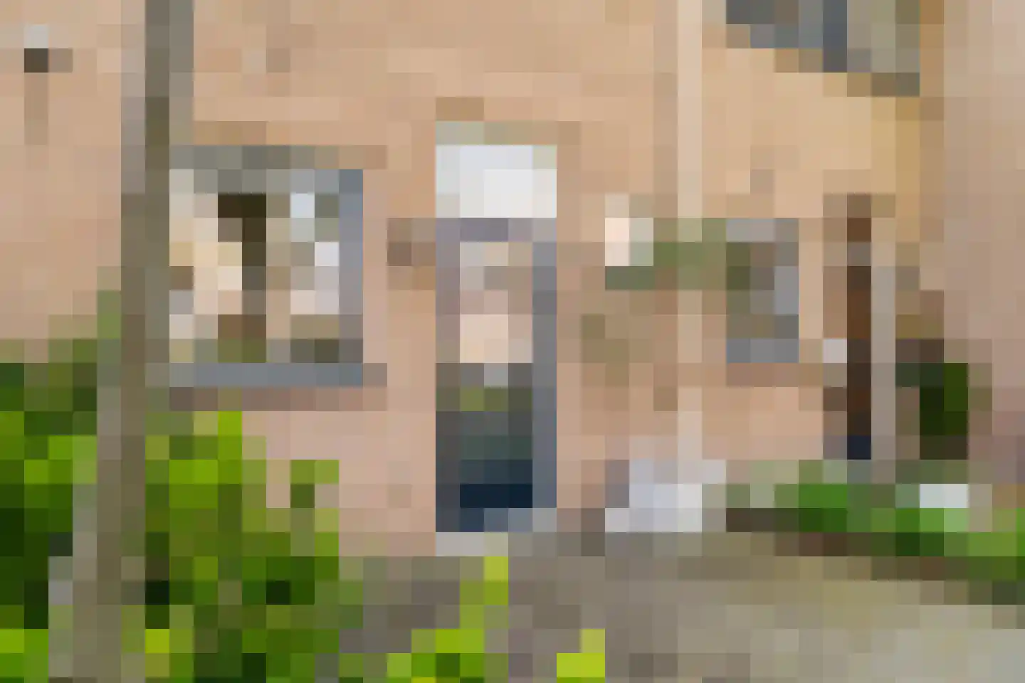Vuurdoornstraat 39 Bleiswijk thumbnail 6