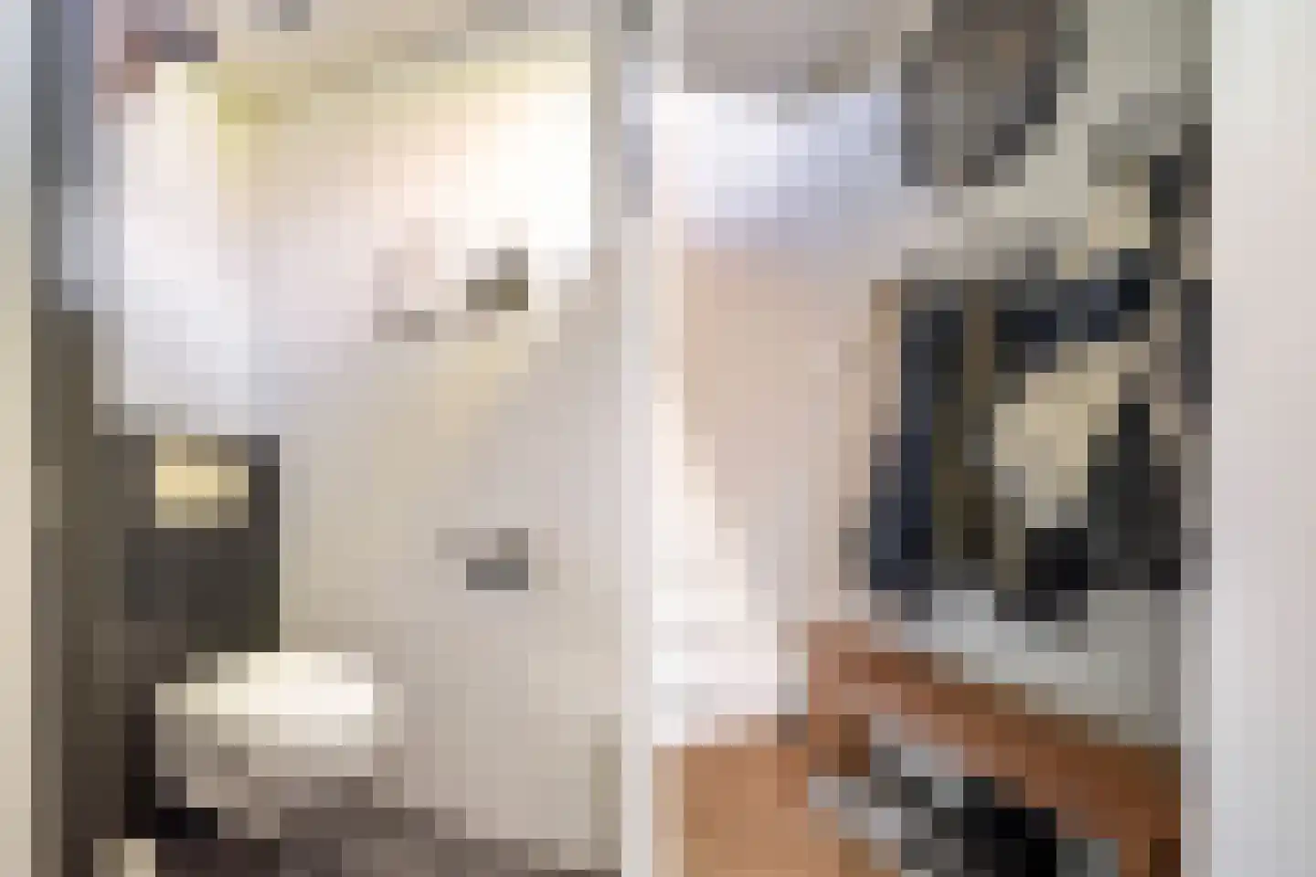 Vuurdoornstraat 39 Bleiswijk thumbnail 8