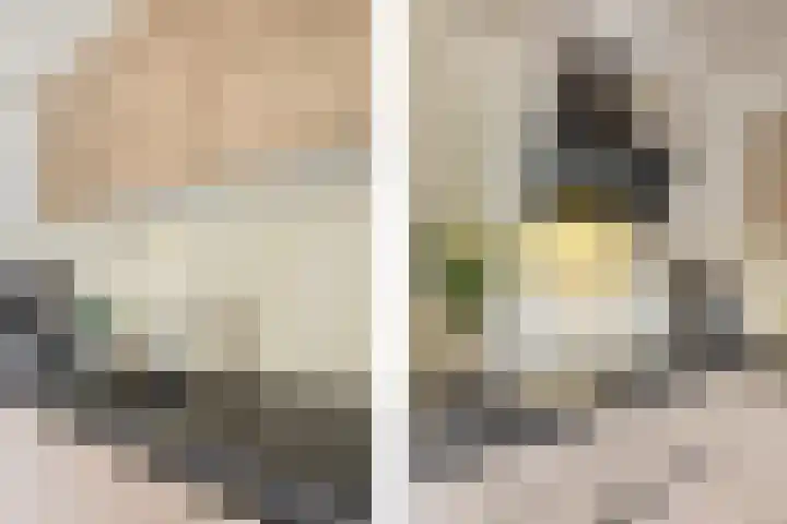 Vuurdoornstraat 4 Echt thumbnail 14