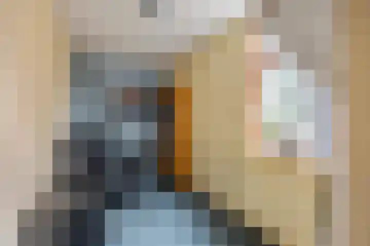 Vuurdoornstraat 4 Echt thumbnail 18
