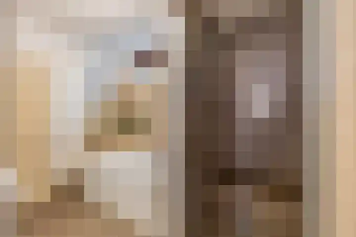 Vuurdoornstraat 4 Echt thumbnail 20