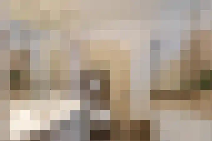 Vuurdoornstraat 4 Echt thumbnail 22