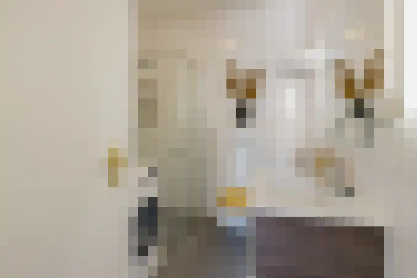Vuurdoornstraat 4 Lisserbroek thumbnail 16