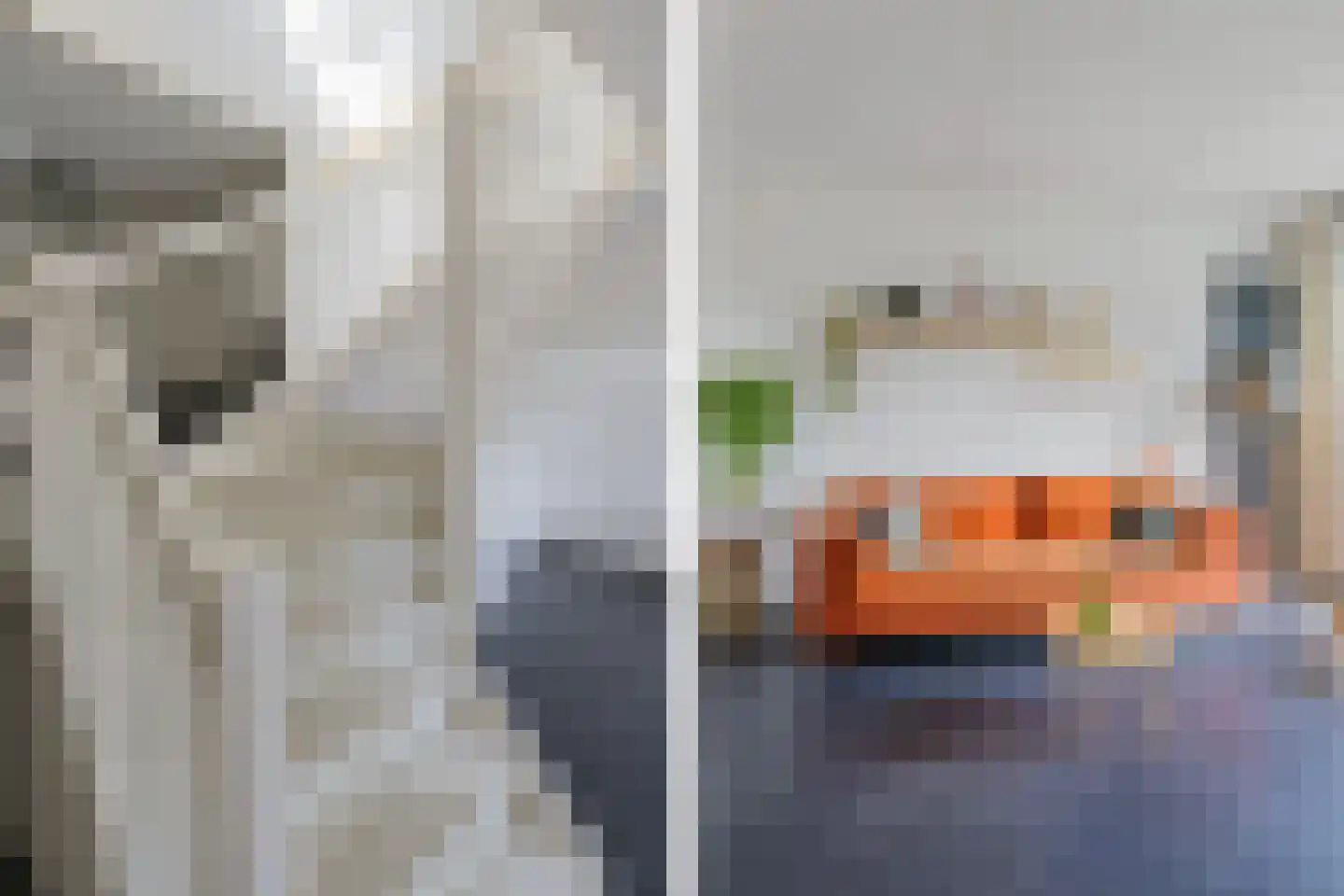 Vuurdoornstraat 4 Lisserbroek thumbnail 17