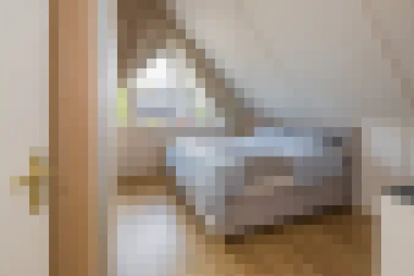 Vuurdoornstraat 4 Lisserbroek thumbnail 18
