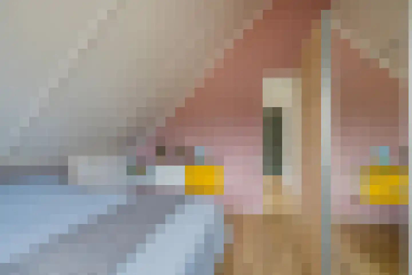 Vuurdoornstraat 4 Lisserbroek thumbnail 19