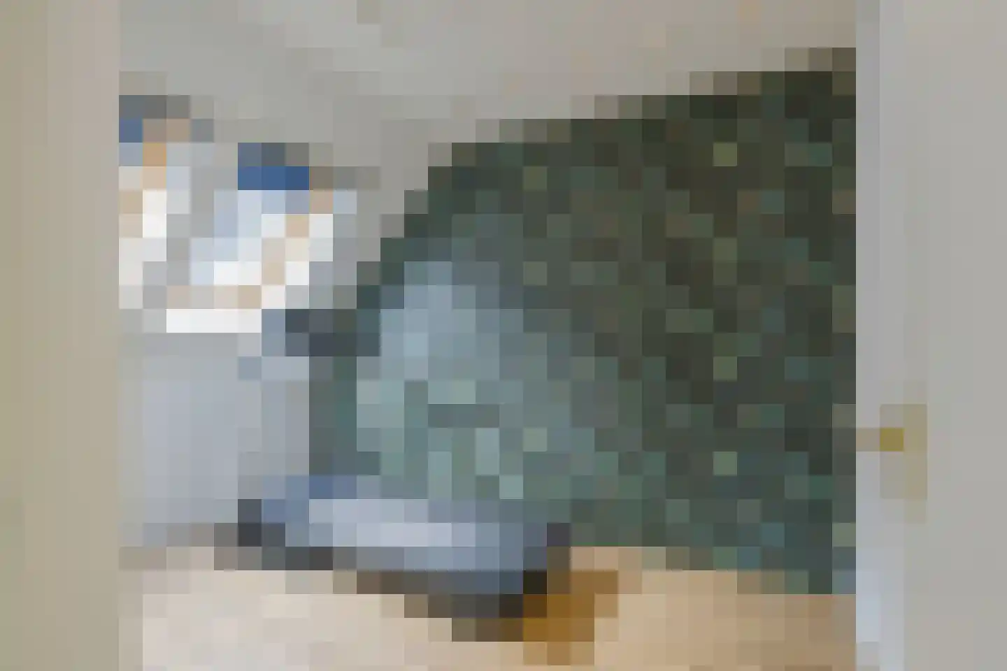 Vuurdoornstraat 4 Lisserbroek thumbnail 21