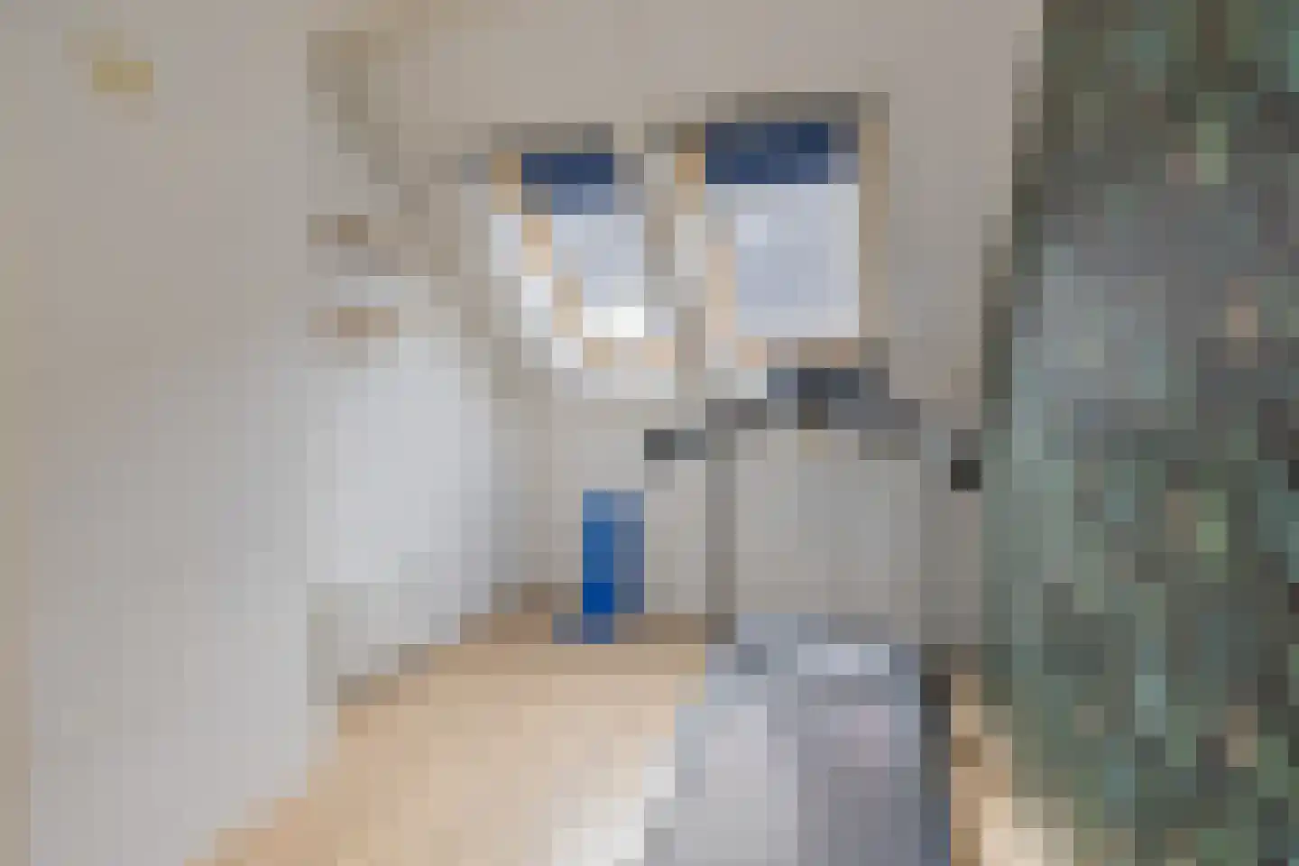 Vuurdoornstraat 4 Lisserbroek thumbnail 22