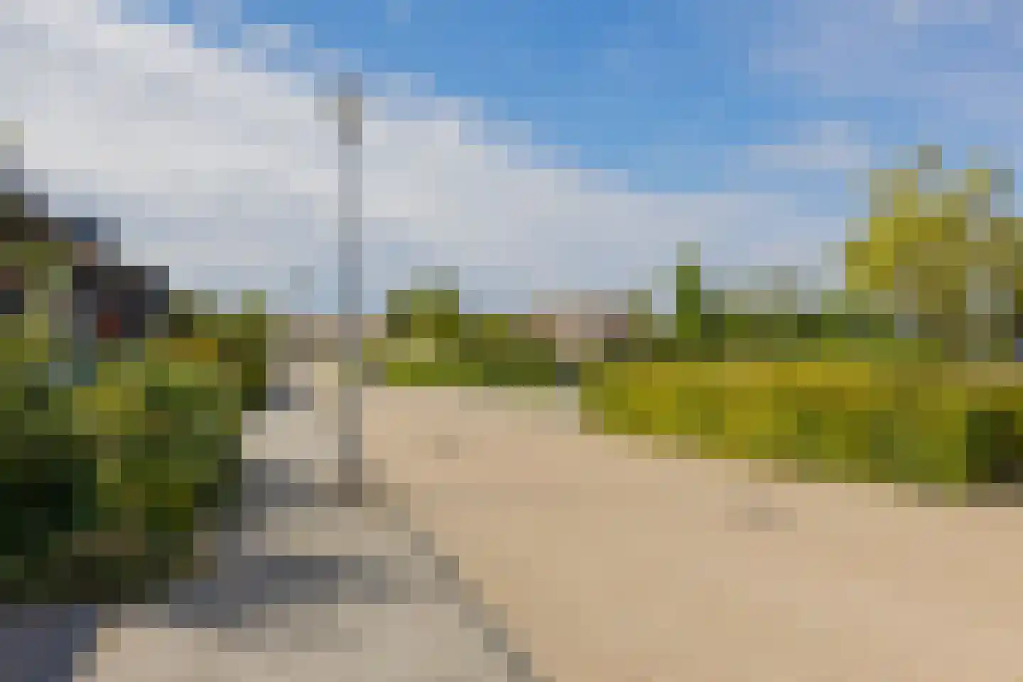 Vuurdoornstraat 4 Lisserbroek thumbnail 28