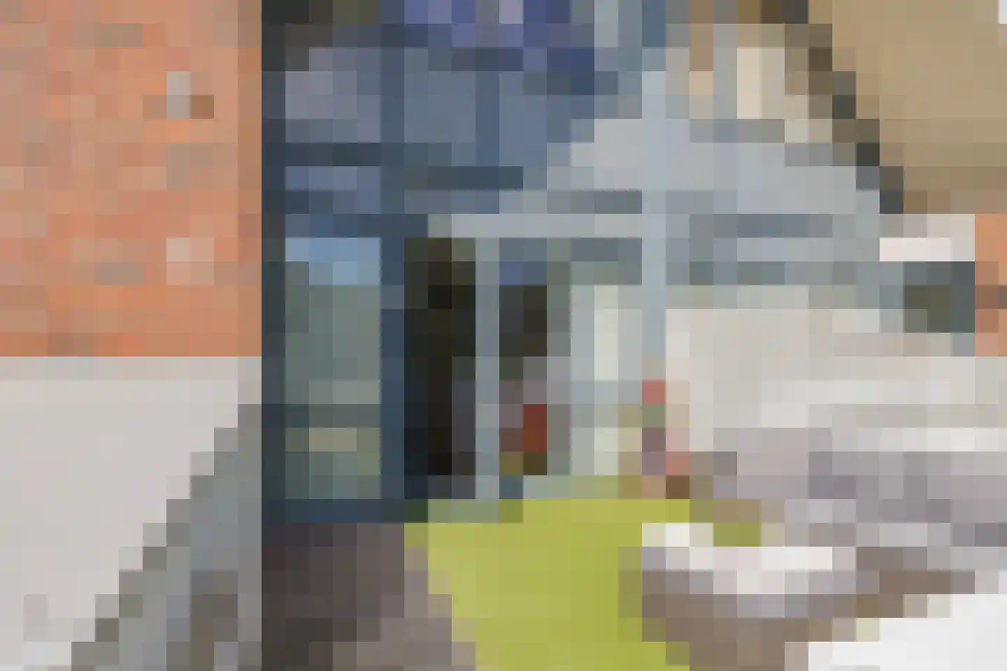 Vuurdoornstraat 4 Lisserbroek thumbnail 4