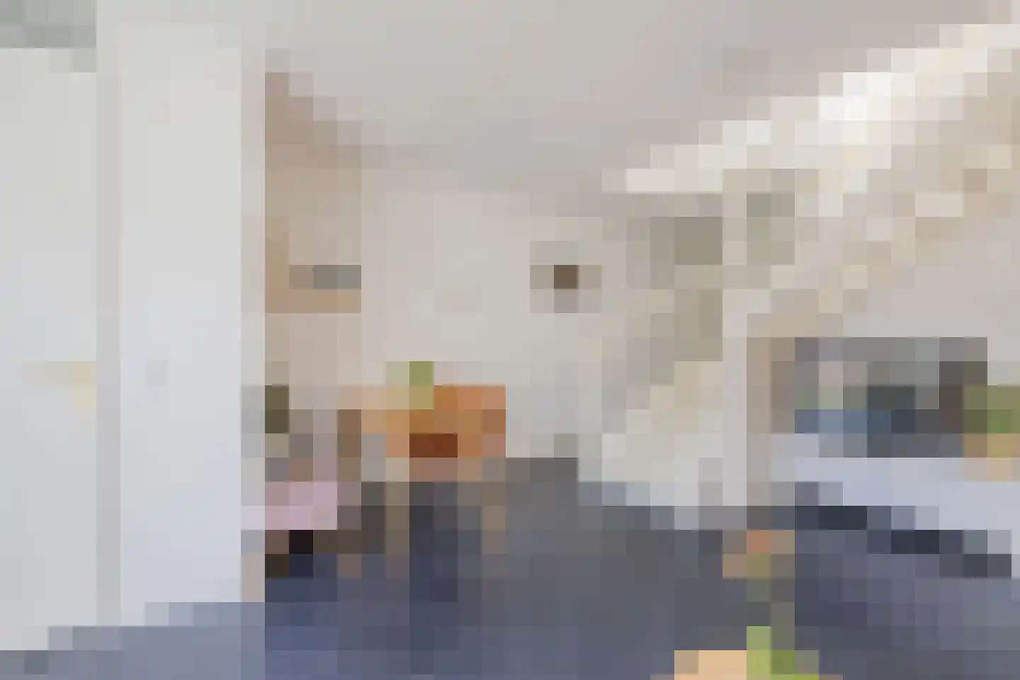 Vuurdoornstraat 4 Lisserbroek thumbnail 9