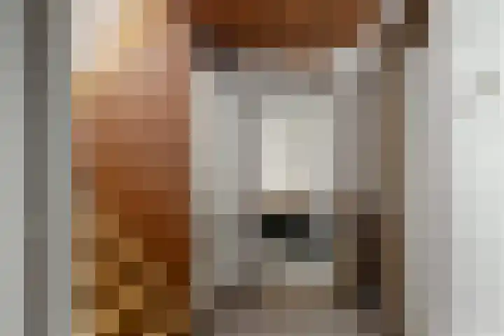Vuurdoornstraat 4 Oud-Beijerland thumbnail 10
