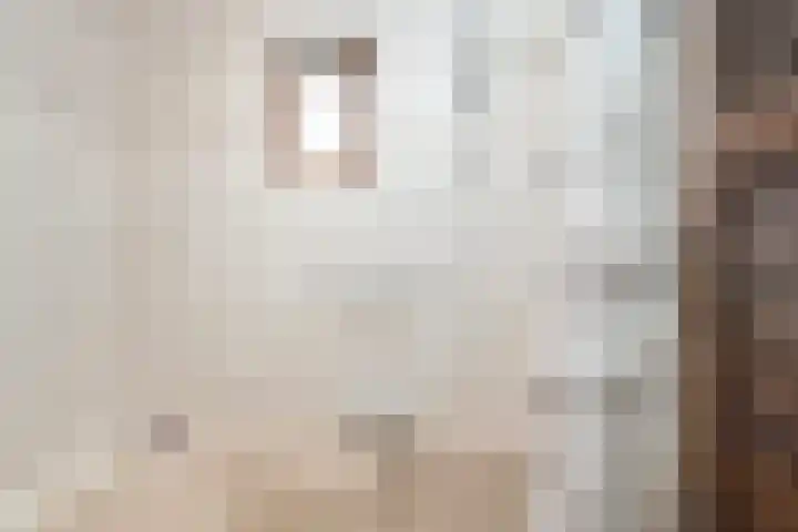 Vuurdoornstraat 4 Oud-Beijerland thumbnail 12