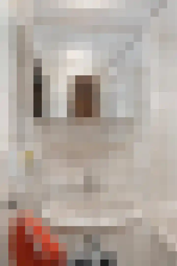 Vuurdoornstraat 4 Oud-Beijerland thumbnail 13