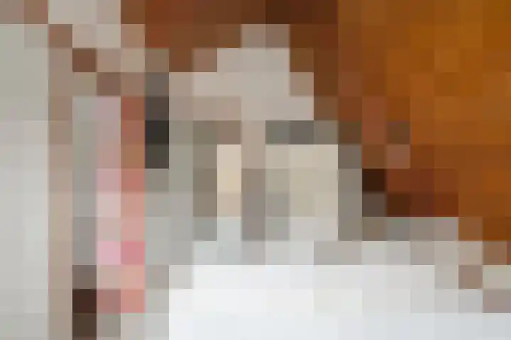 Vuurdoornstraat 4 Oud-Beijerland thumbnail 34