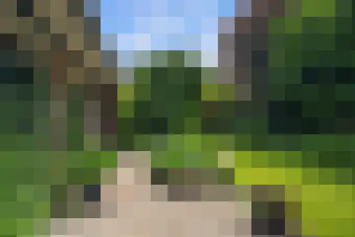 Vuurdoornstraat 4 Oud-Beijerland thumbnail 35