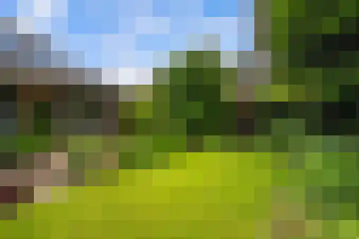 Vuurdoornstraat 4 Oud-Beijerland thumbnail 36