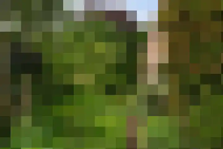 Vuurdoornstraat 4 Oud-Beijerland thumbnail 37