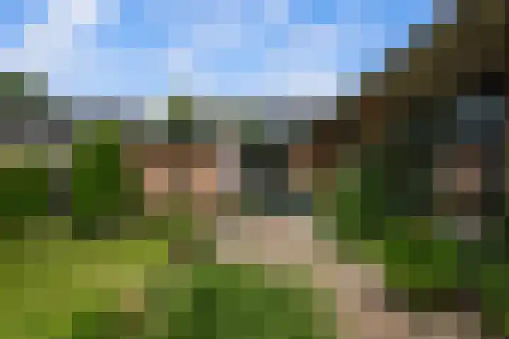 Vuurdoornstraat 4 Oud-Beijerland thumbnail 38