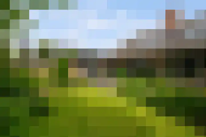 Vuurdoornstraat 4 Oud-Beijerland thumbnail 4