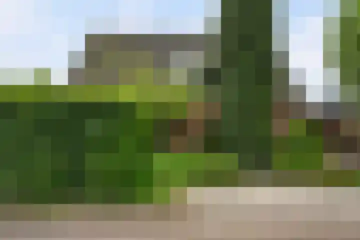 Vuurdoornstraat 4 Oud-Beijerland thumbnail 5
