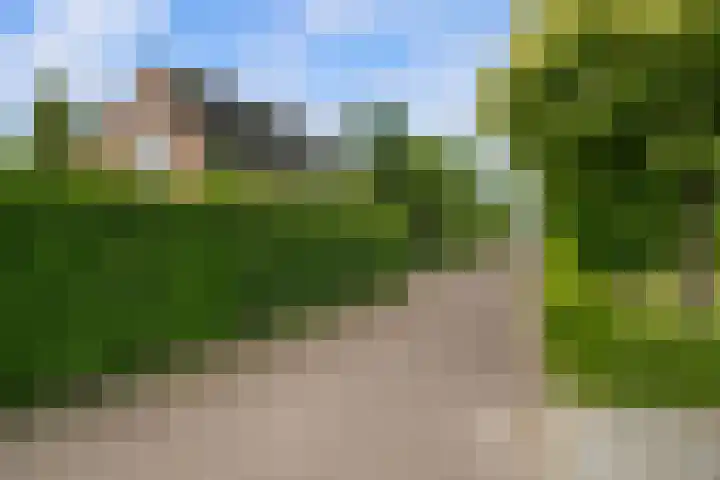 Vuurdoornstraat 4 Oud-Beijerland thumbnail 6