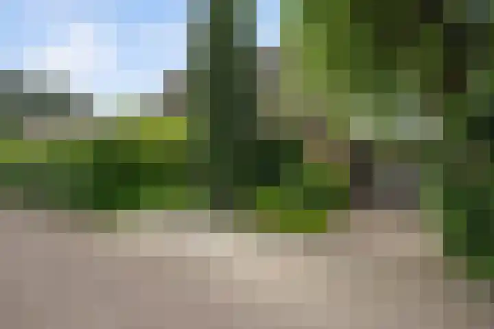 Vuurdoornstraat 4 Oud-Beijerland thumbnail 7