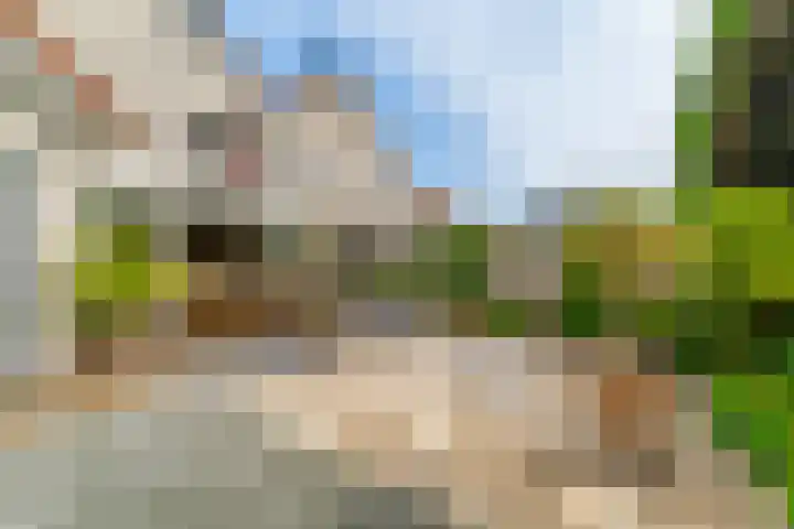 Vuurdoornstraat 7 Aalsmeer thumbnail 36