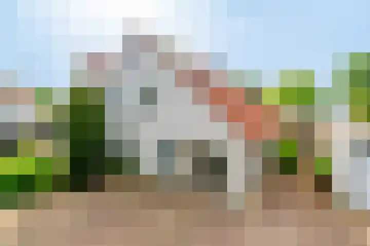 Vuurdoornstraat 7 Aalsmeer thumbnail 59
