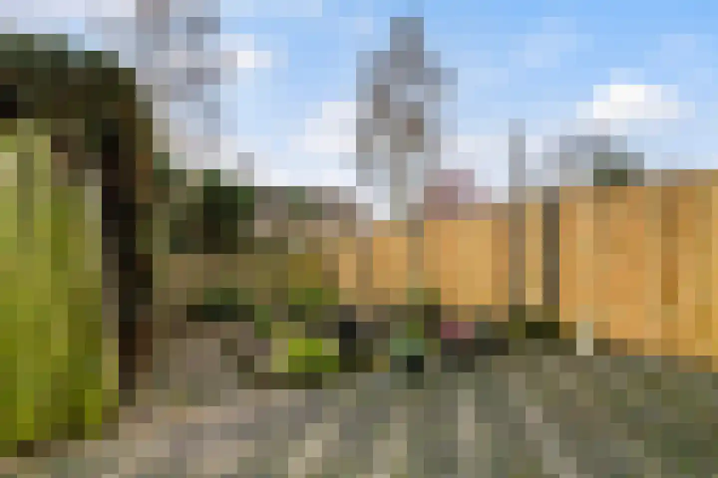Vuurdoornstraat 72 Vaassen thumbnail 27