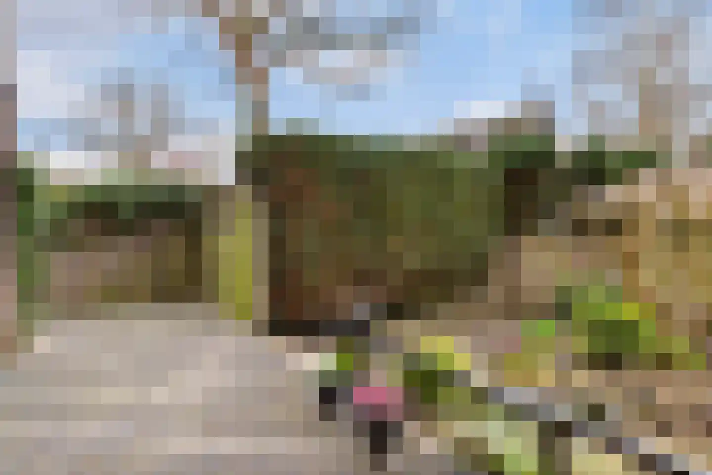 Vuurdoornstraat 72 Vaassen thumbnail 29