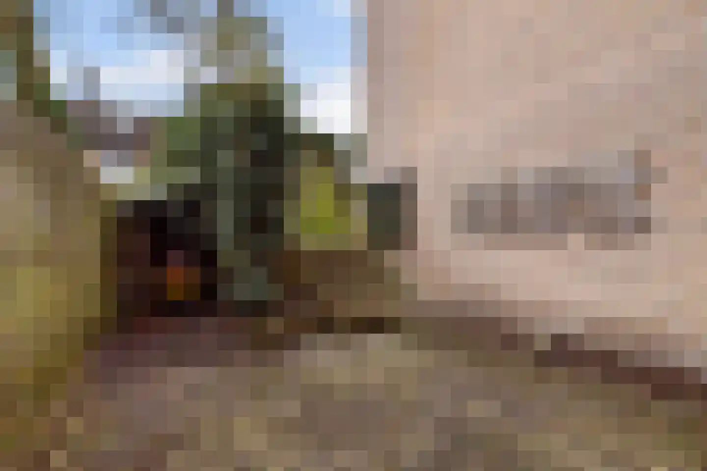 Vuurdoornstraat 72 Vaassen thumbnail 30