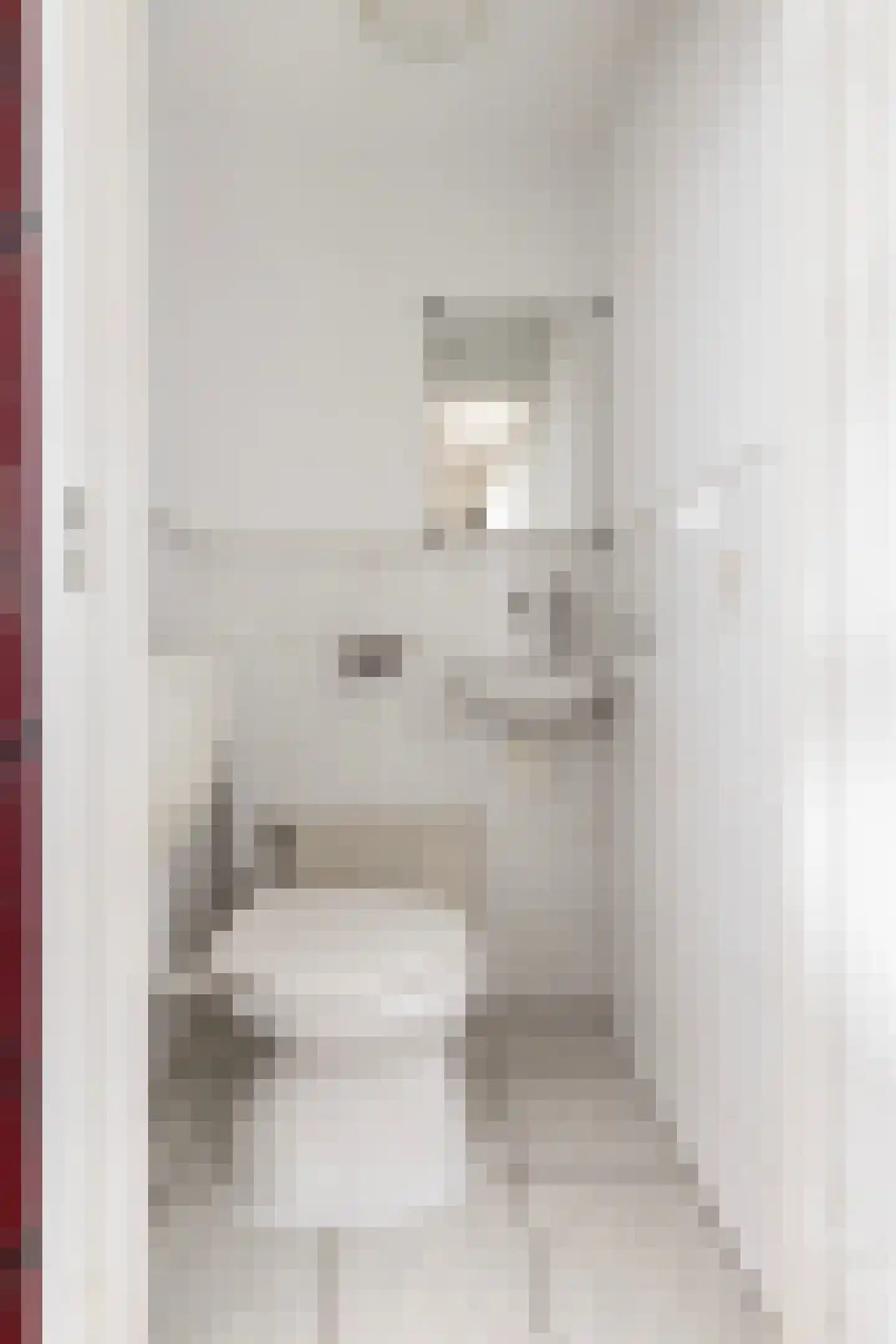 Vuurdoornstraat 72 Vaassen thumbnail 5