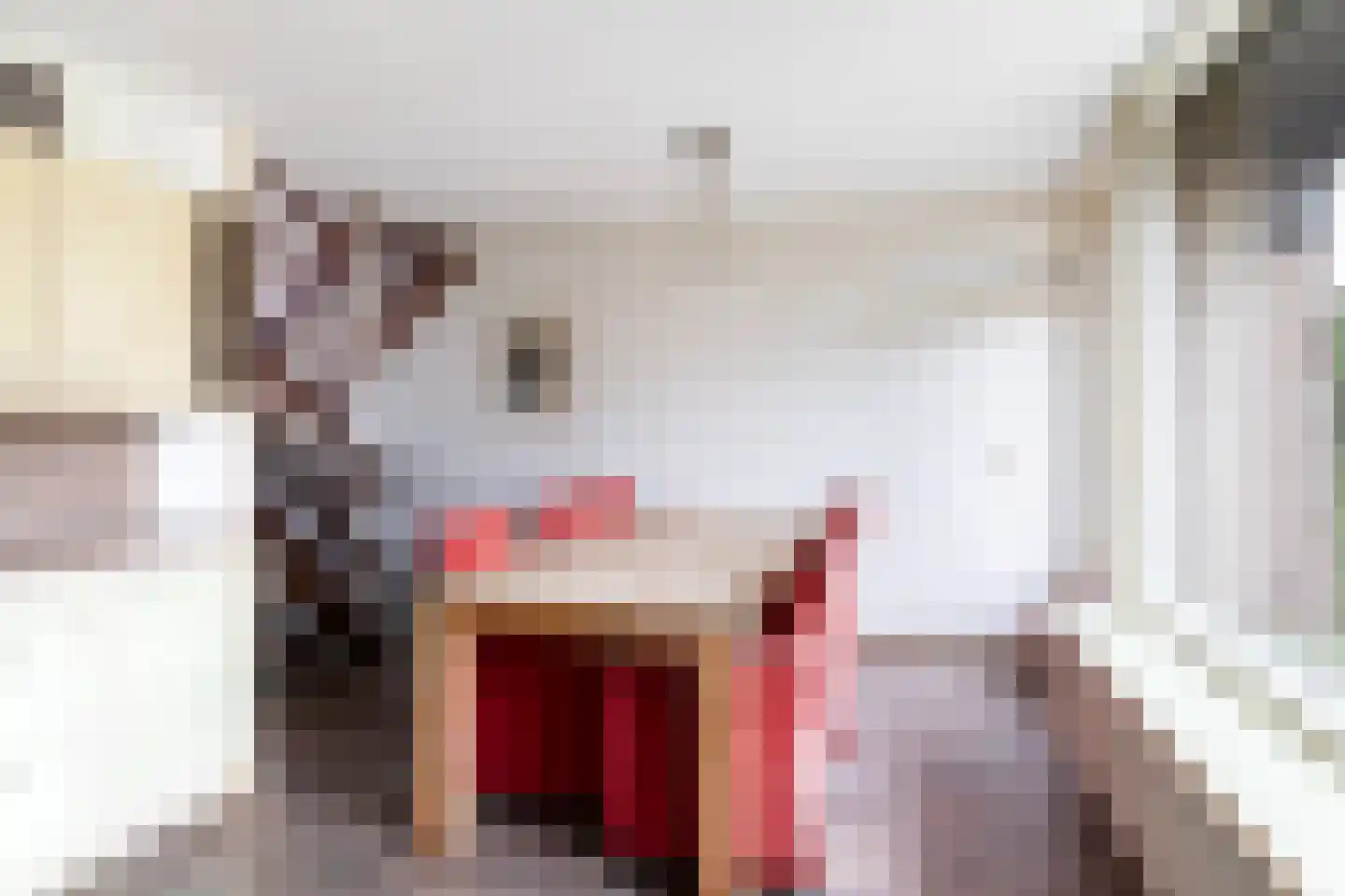 Vuurdoornstraat 72 Vaassen thumbnail 7