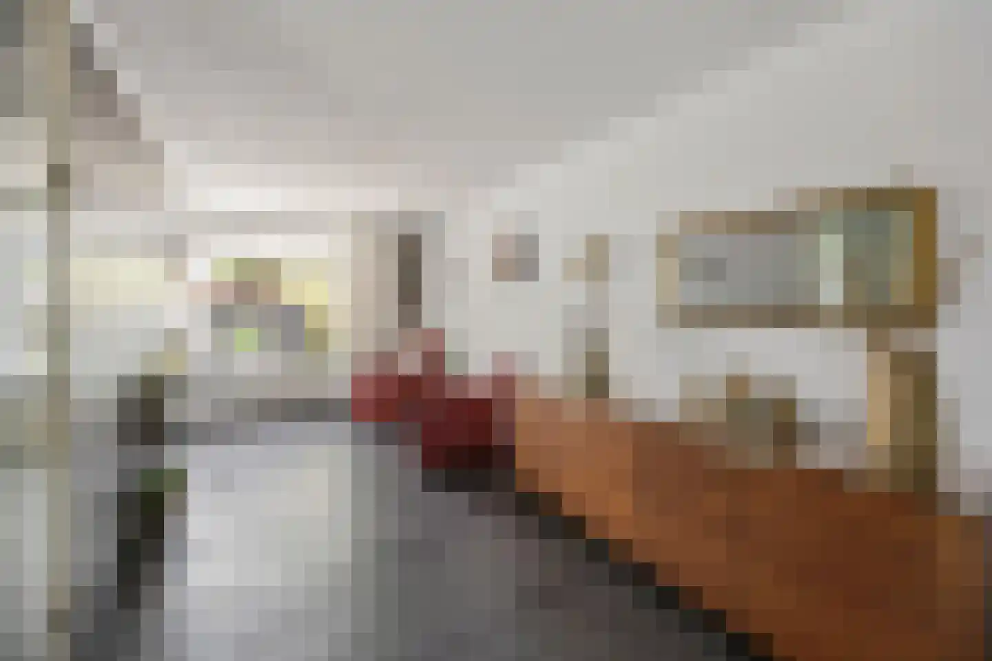 Vuurdoornstraat 8 Echt thumbnail 11
