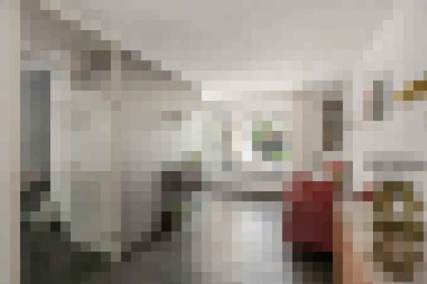 Vuurdoornstraat 8 Echt thumbnail 12