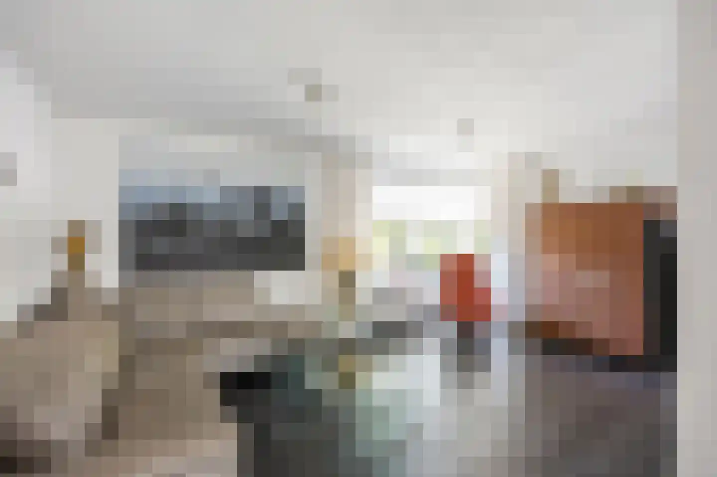 Vuurdoornstraat 8 Echt thumbnail 13