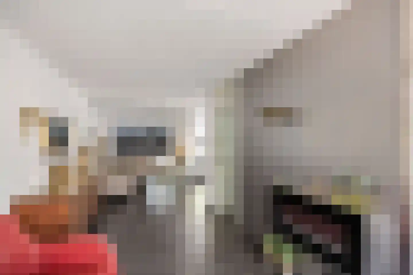 Vuurdoornstraat 8 Echt thumbnail 15