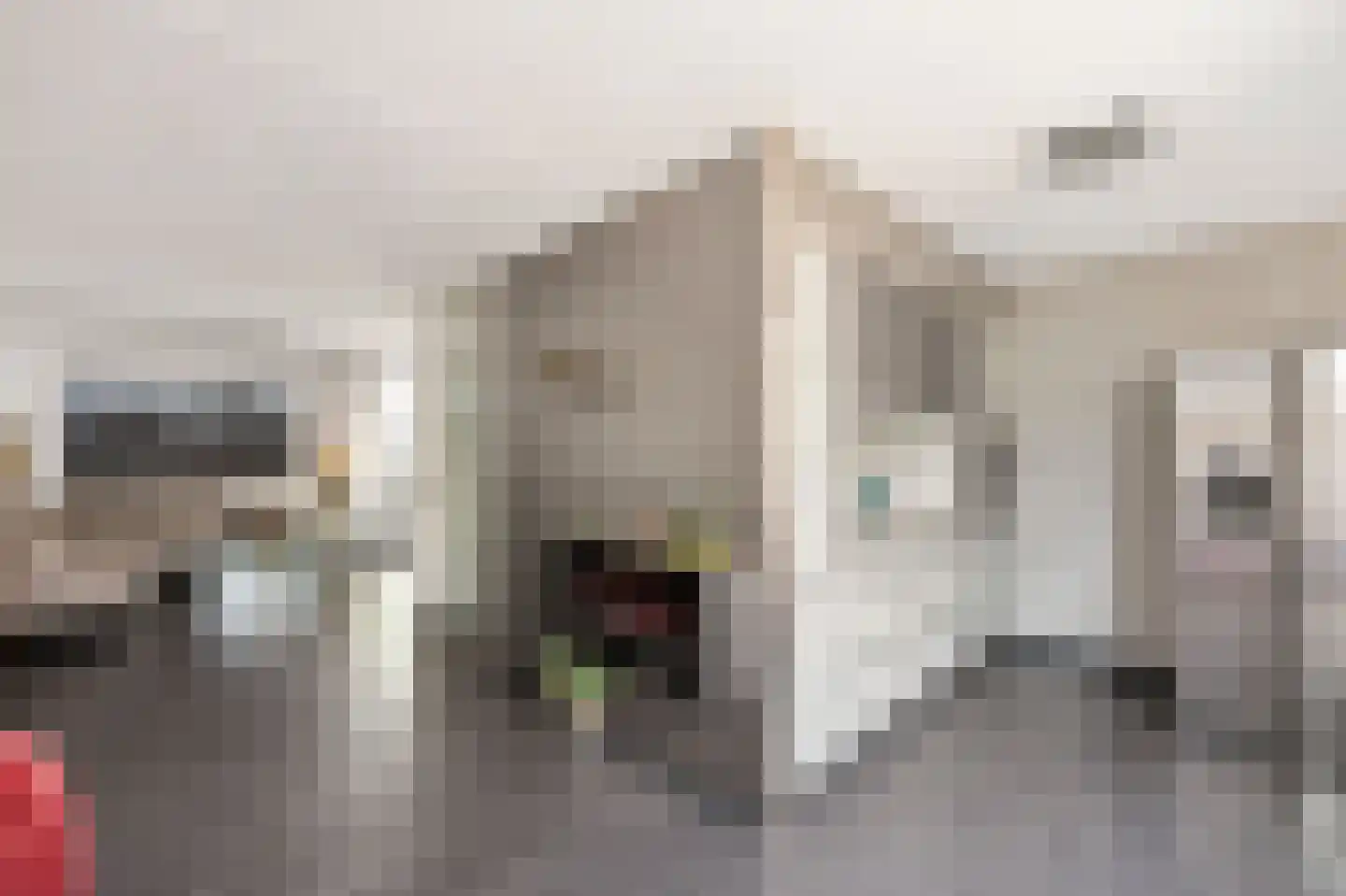Vuurdoornstraat 8 Echt thumbnail 16