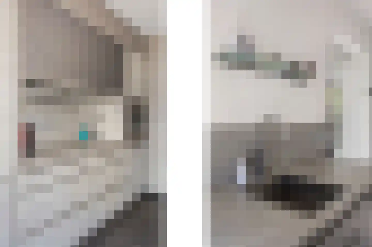 Vuurdoornstraat 8 Echt thumbnail 17