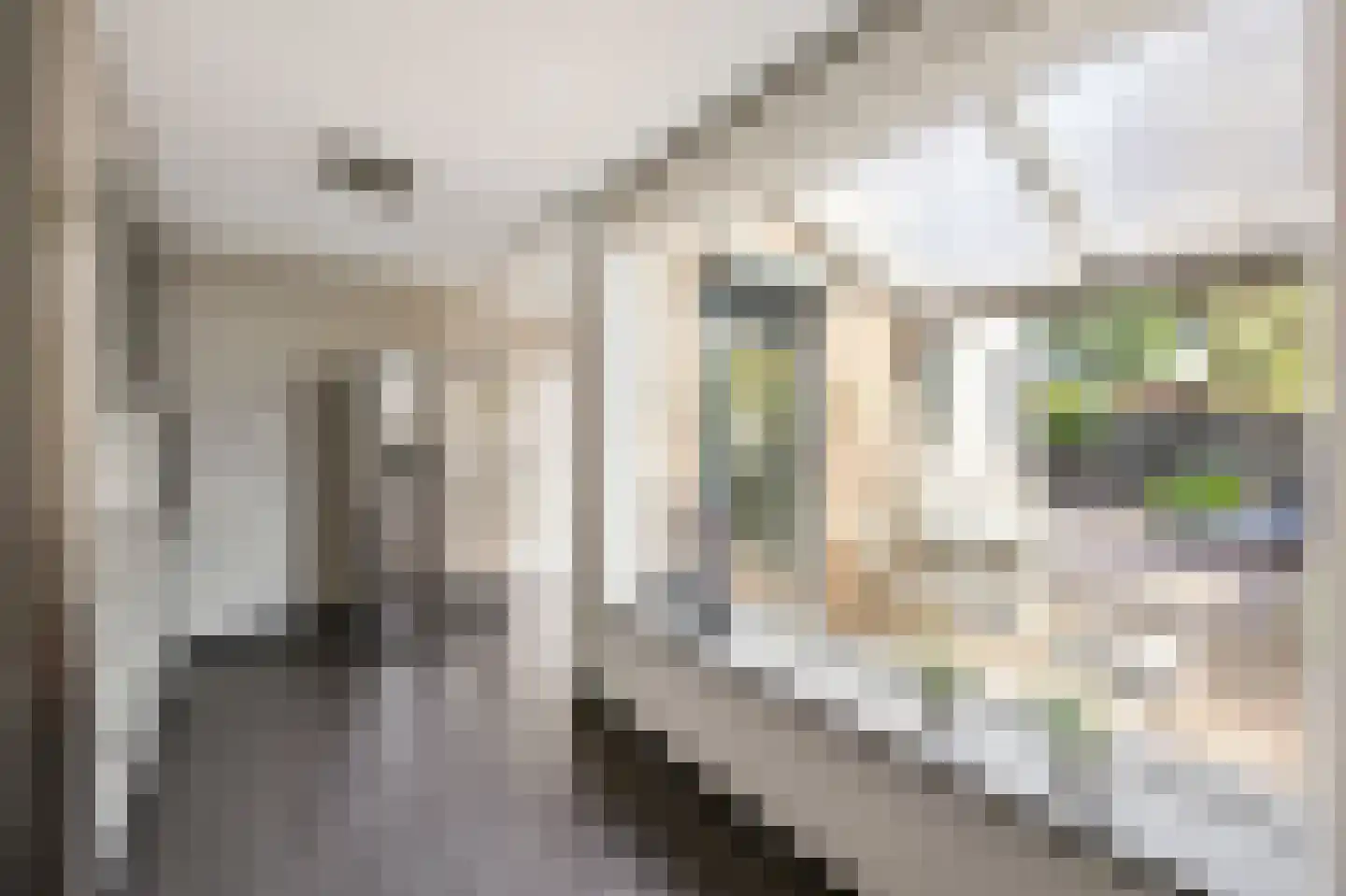 Vuurdoornstraat 8 Echt thumbnail 18