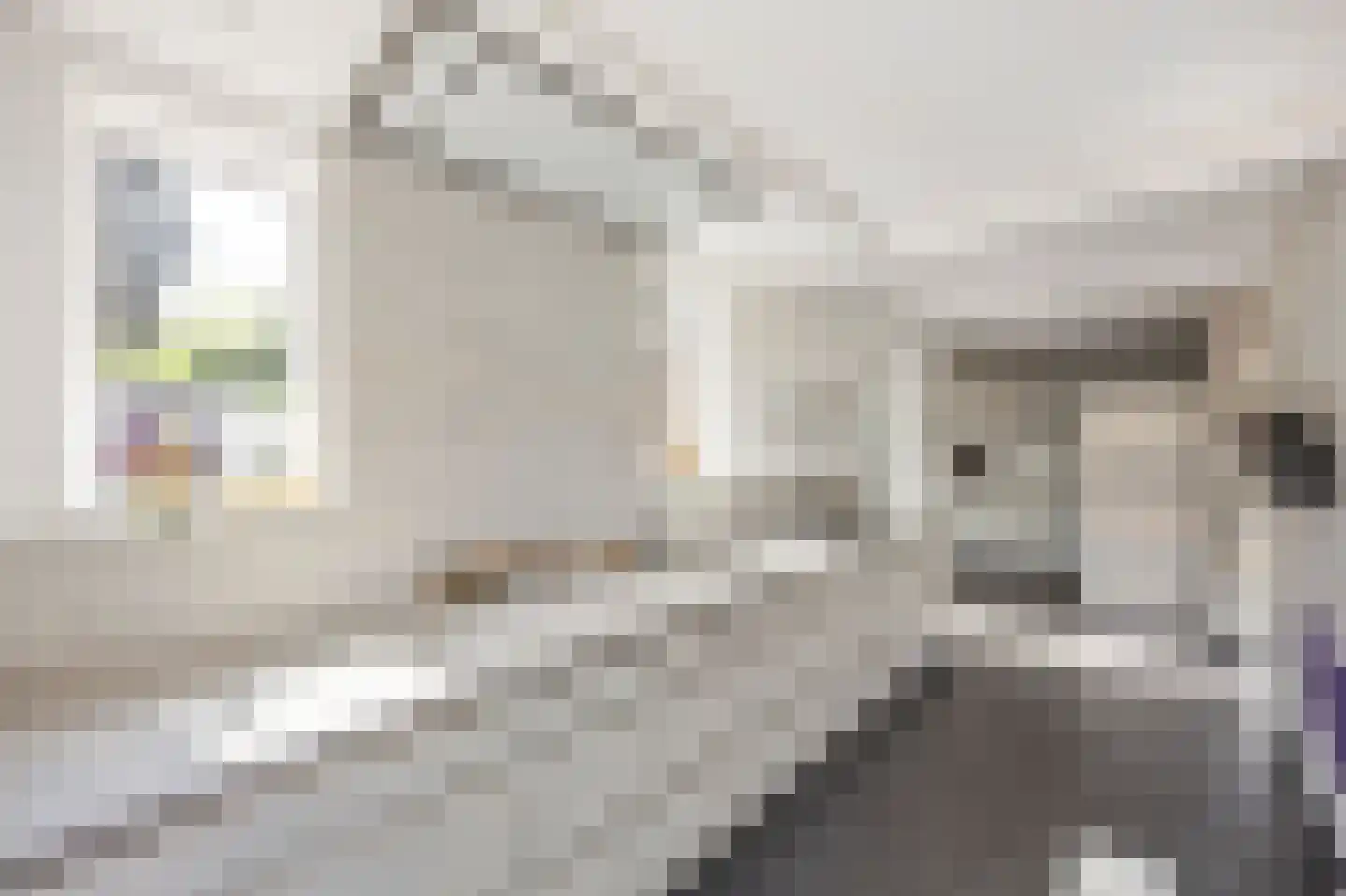 Vuurdoornstraat 8 Echt thumbnail 19