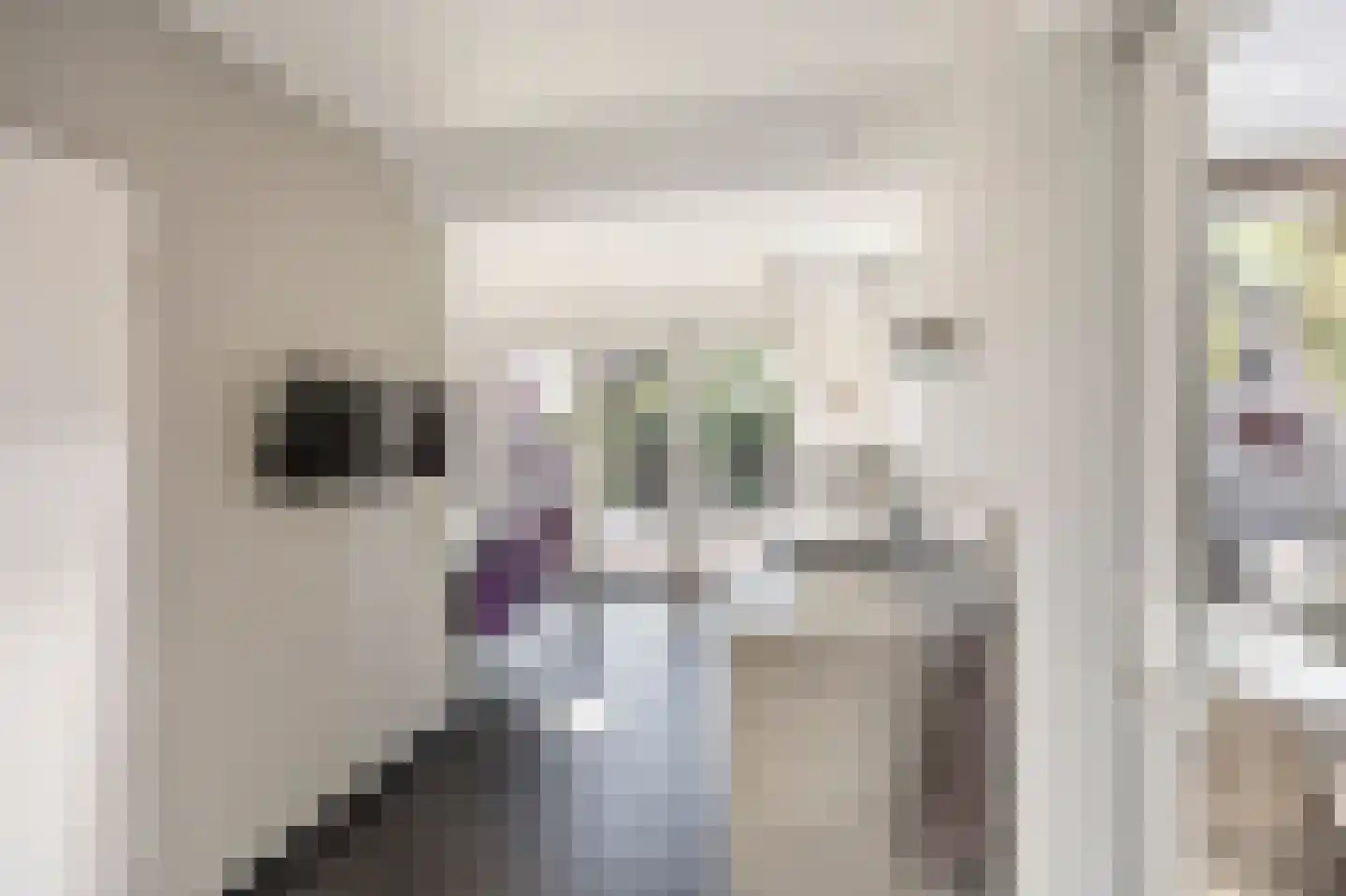 Vuurdoornstraat 8 Echt thumbnail 21