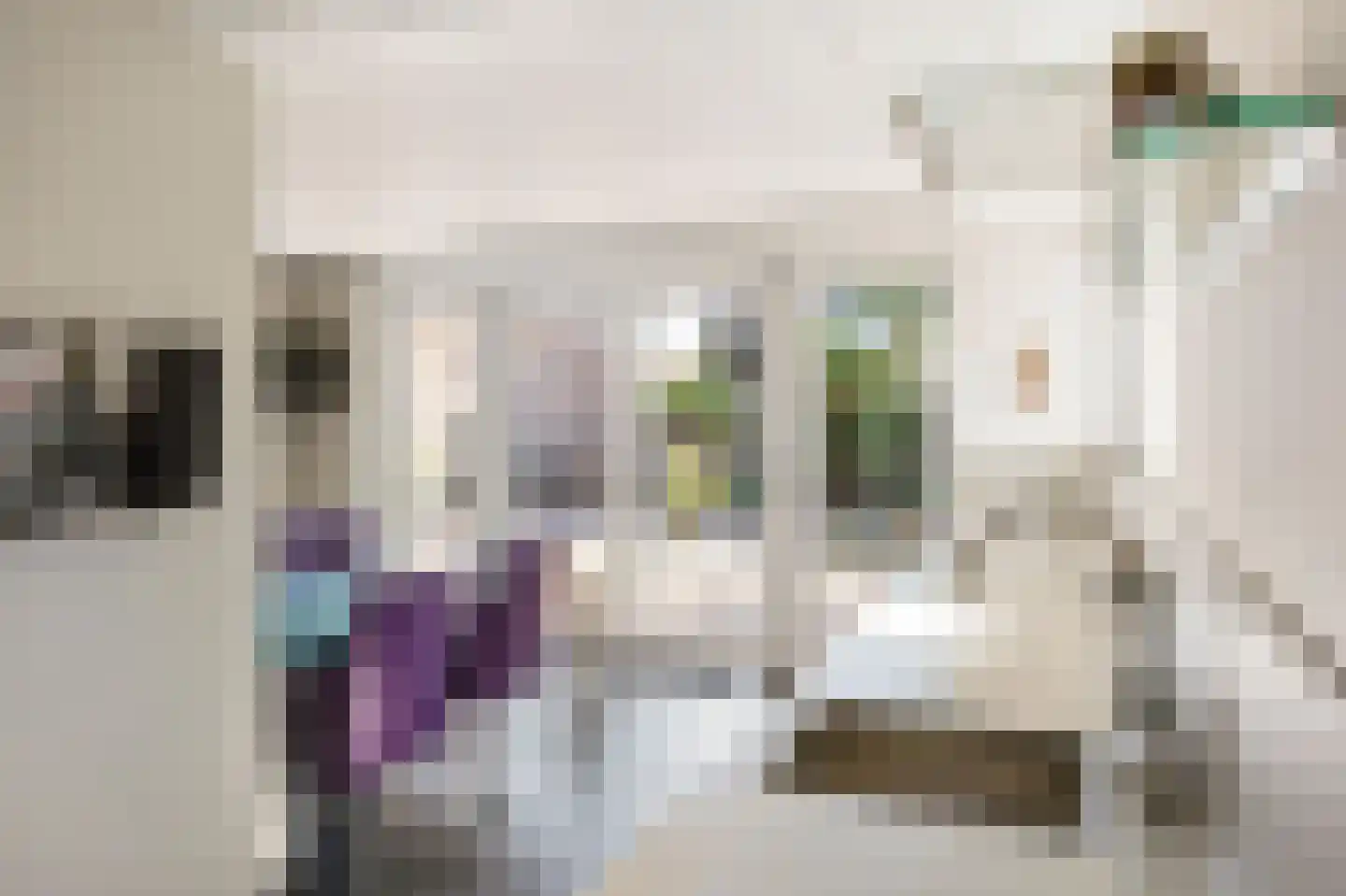 Vuurdoornstraat 8 Echt thumbnail 22