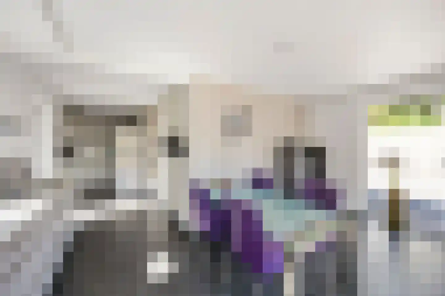 Vuurdoornstraat 8 Echt thumbnail 25