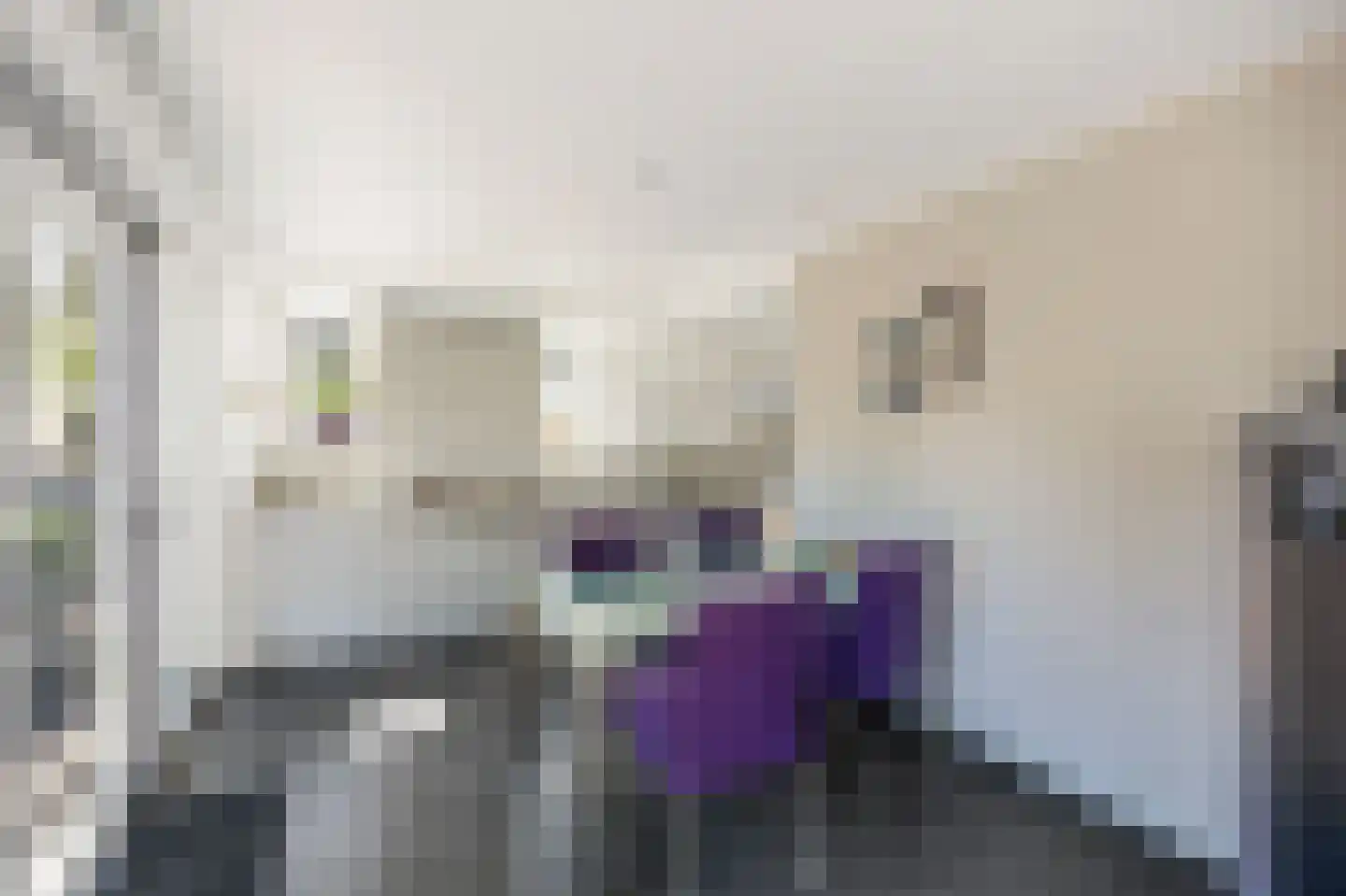 Vuurdoornstraat 8 Echt thumbnail 26