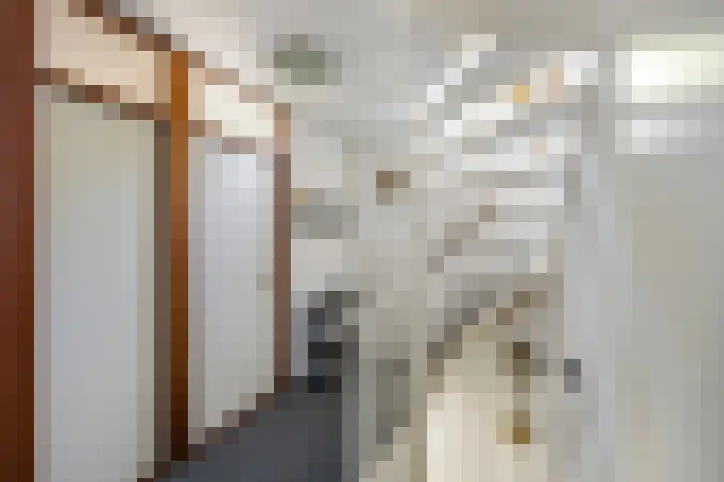 Vuurdoornstraat 8 Echt thumbnail 28